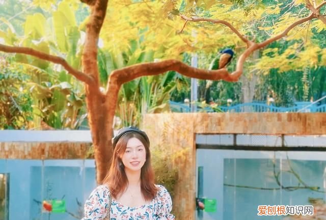 广州动物园多少钱一张门票,广州动物园带小孩攻略