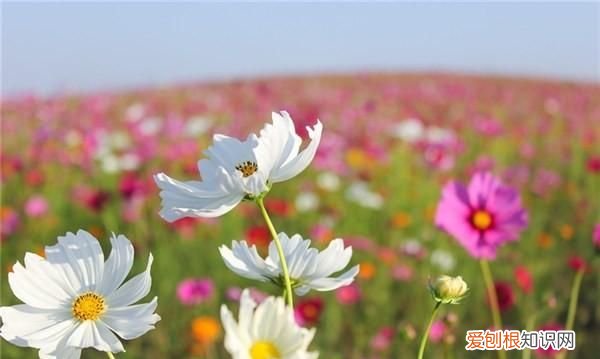 人生哲理的句子，感悟人生哲理的句子