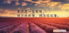 人生哲理的句子，感悟人生哲理的句子