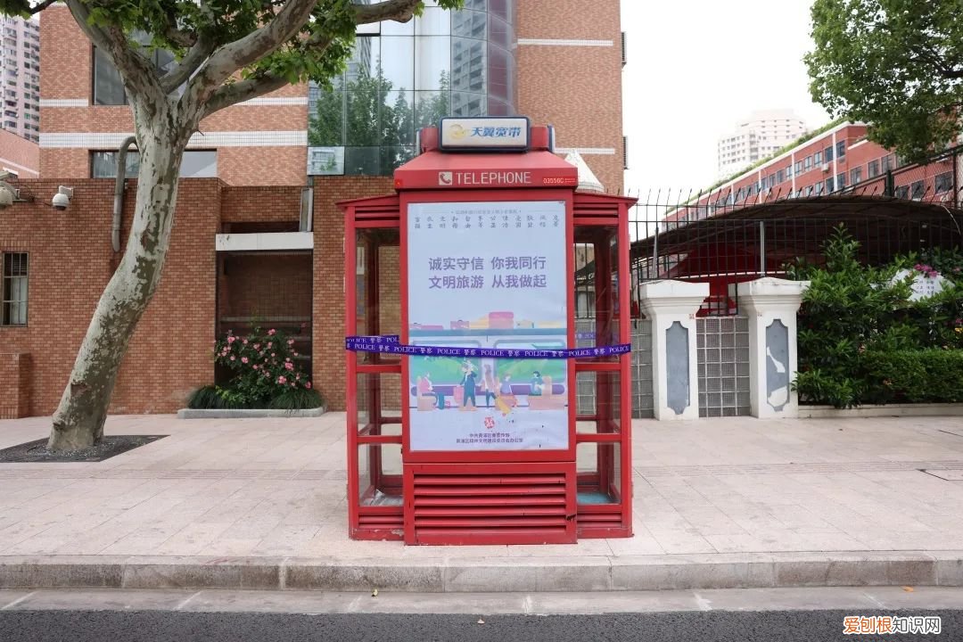 在上海电话亭住了一个月的女人是谁？后续：已经被赶走