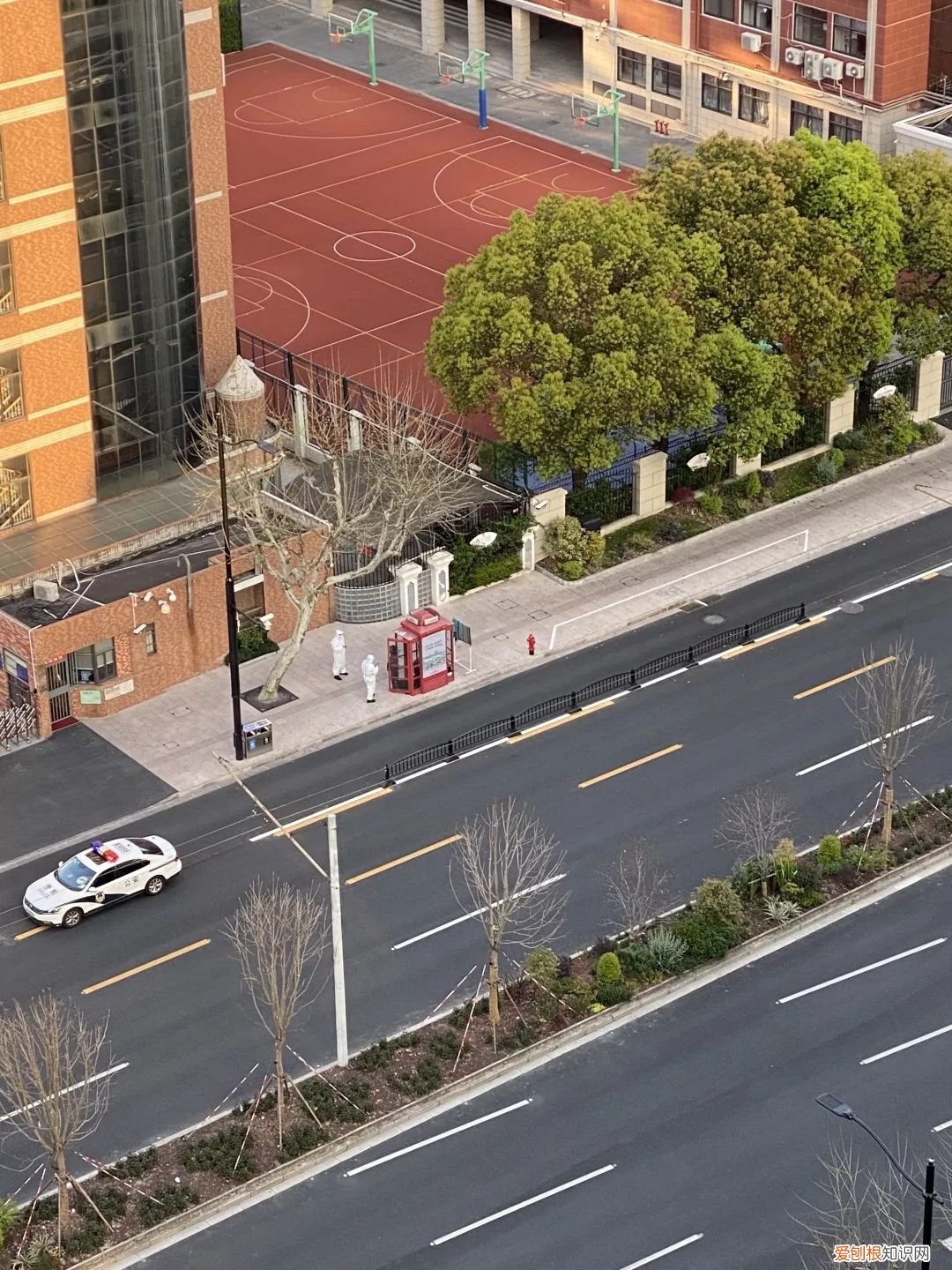 在上海电话亭住了一个月的女人是谁？后续：已经被赶走