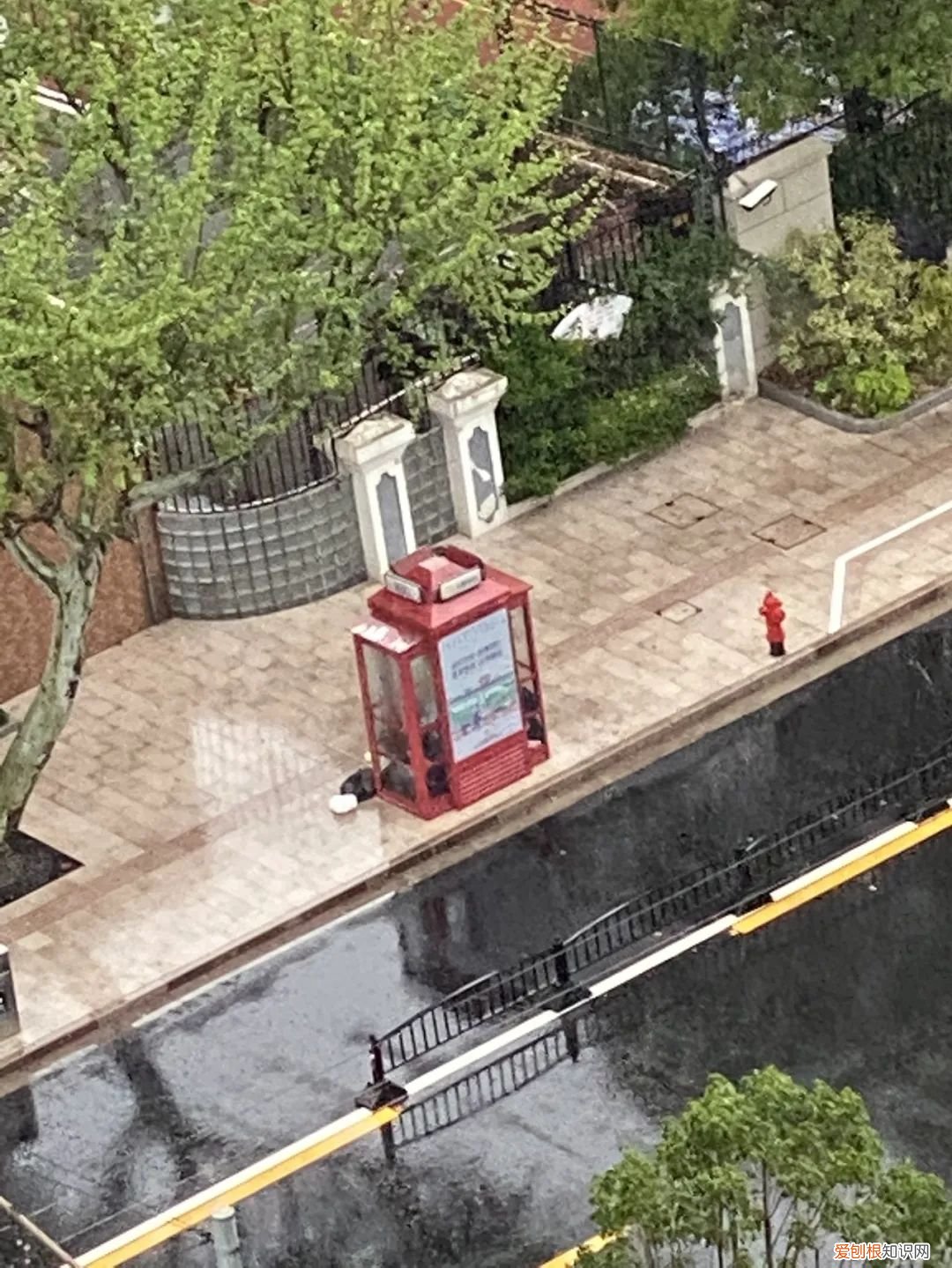 在上海电话亭住了一个月的女人是谁？后续：已经被赶走