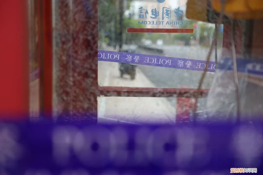 在上海电话亭住了一个月的女人是谁？后续：已经被赶走