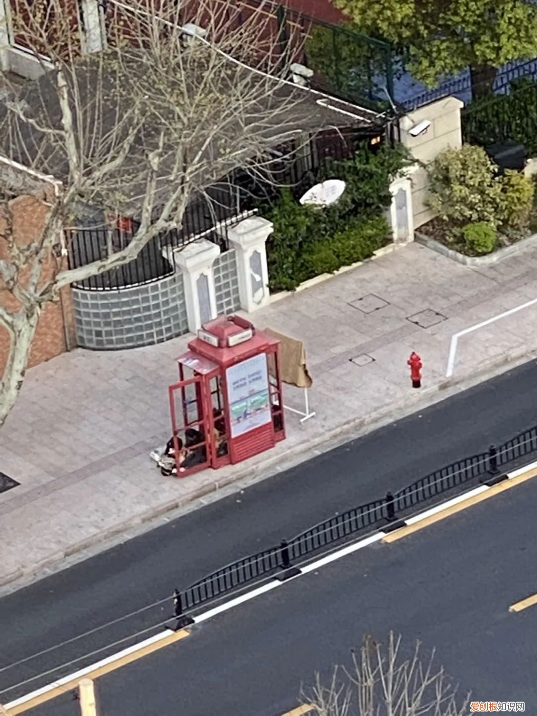 在上海电话亭住了一个月的女人是谁？后续：已经被赶走