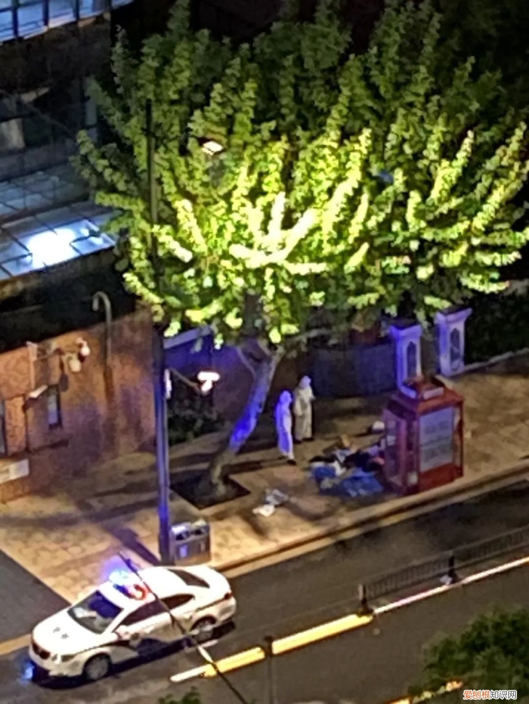 在上海电话亭住了一个月的女人是谁？后续：已经被赶走