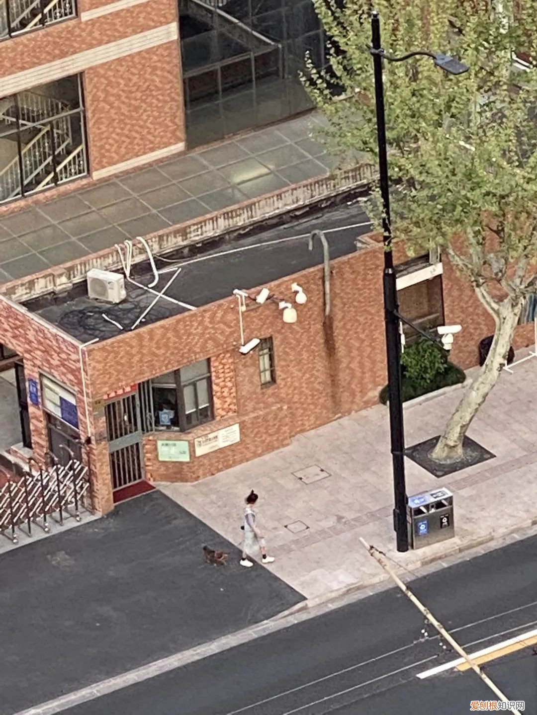 在上海电话亭住了一个月的女人是谁？后续：已经被赶走