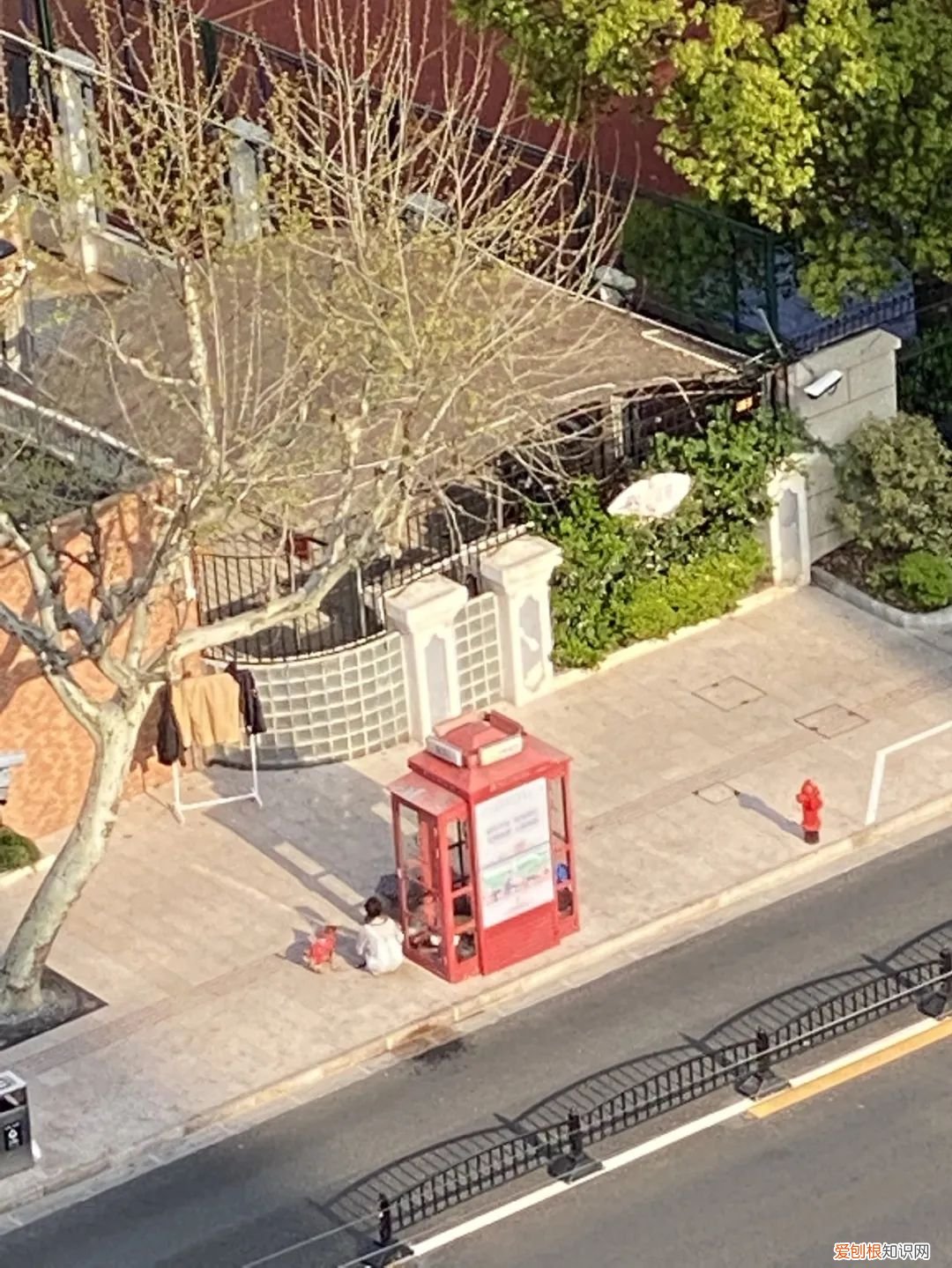 在上海电话亭住了一个月的女人是谁？后续：已经被赶走