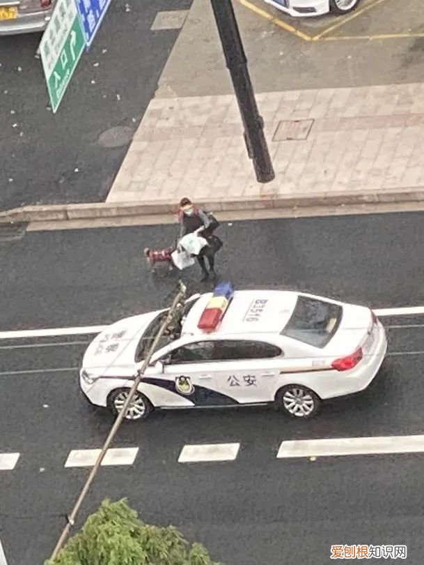 在上海电话亭住了一个月的女人是谁？后续：已经被赶走