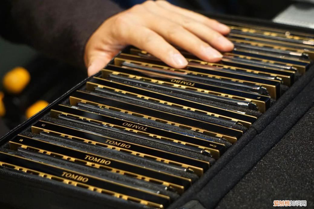 通宝口琴和国光口琴谁好