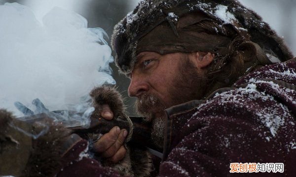 活动眉毛有啥作用,人类的眉毛有啥作用