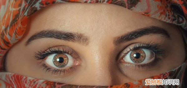 活动眉毛有啥作用,人类的眉毛有啥作用