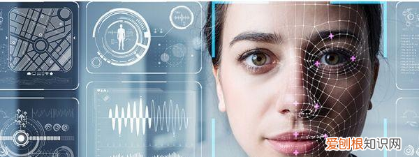 活动眉毛有啥作用,人类的眉毛有啥作用