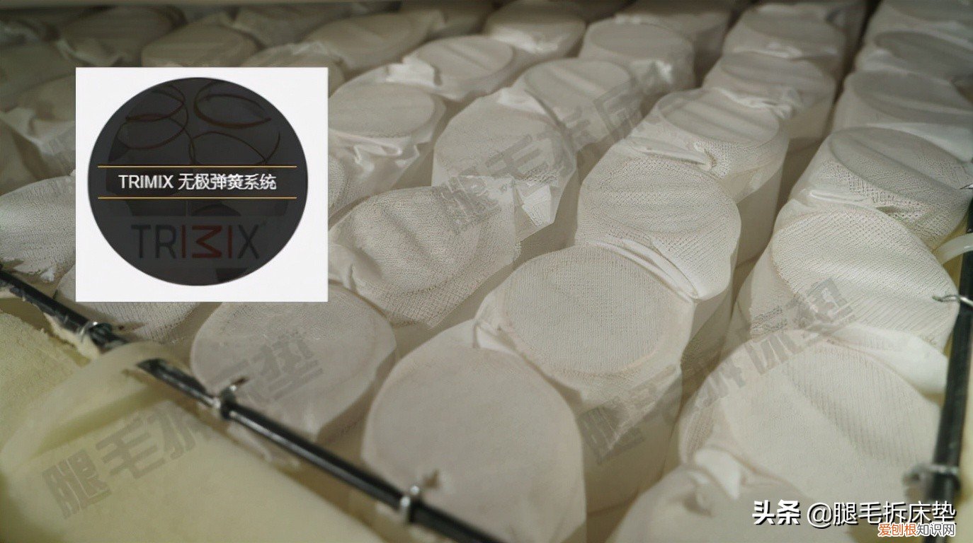 金可儿床垫和慕思床垫哪个好