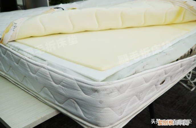 金可儿床垫和慕思床垫哪个好