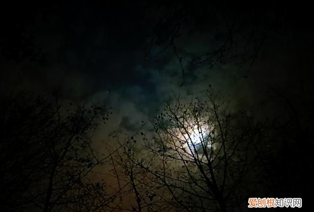 李诞幽默经典语录 段子手李诞经典语录