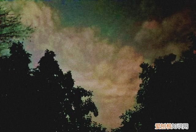 李诞幽默经典语录 段子手李诞经典语录