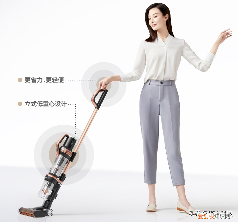 进口吸尘器哪个品牌好