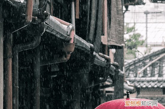 六月你好的励志句子 六月你好的励志文案