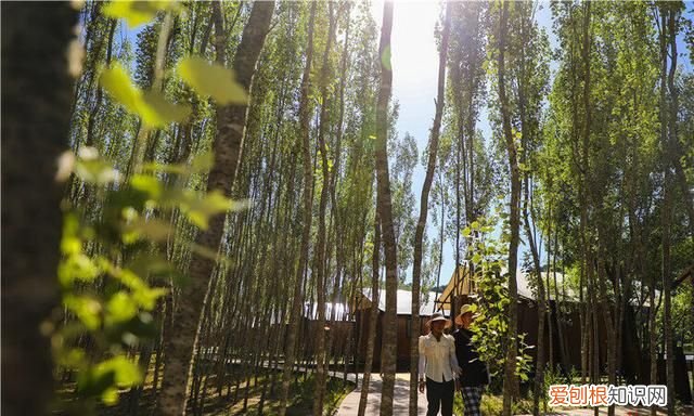 合水县花溪谷旅游景区门票多少钱