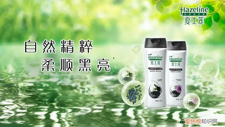 夏士莲洗发水怎么样