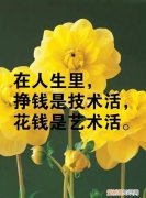 生活感悟经典句子，生活感悟的经典古文句子