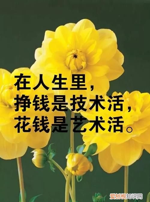 生活感悟经典句子，生活感悟的经典古文句子