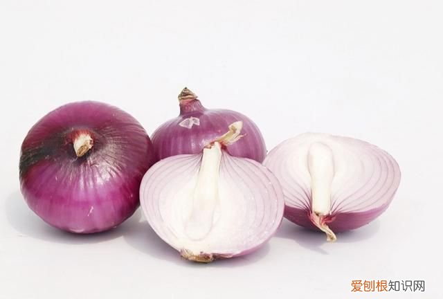 室内放洋葱可以防感冒吗