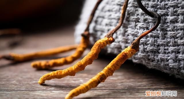 青海西宁特产有哪些