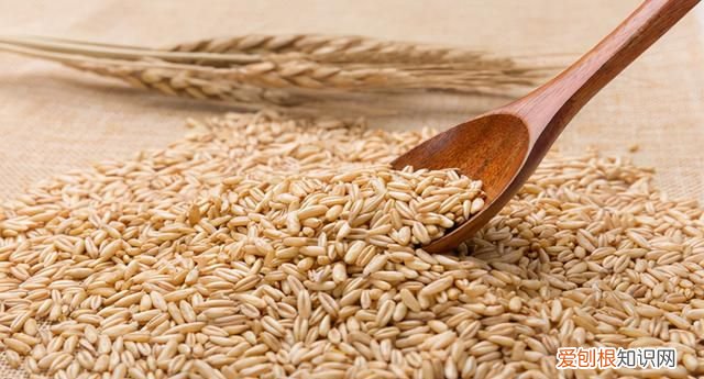 青海西宁特产有哪些