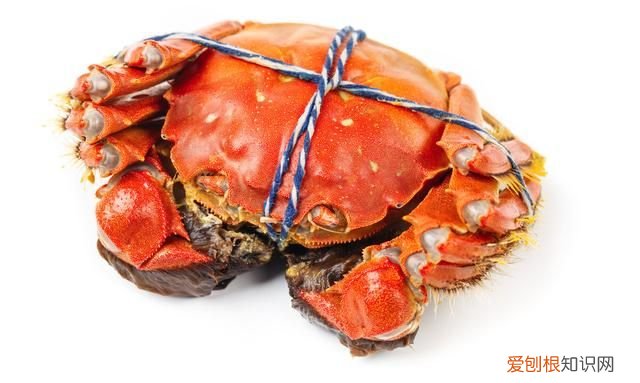 螃蟹蟹黄应该吃公还是母,螃蟹是公肉好吃还是母的好吃