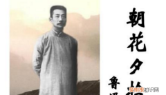 朝花夕拾什么意思啊，找对象朝花夕拾什么梗