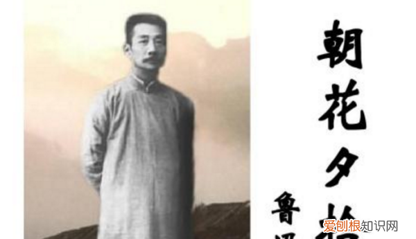 朝花夕拾什么意思啊，找对象朝花夕拾什么梗