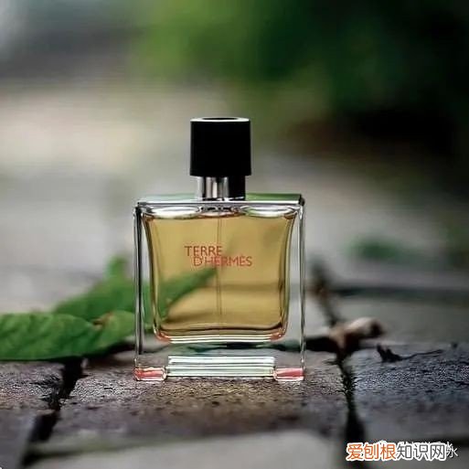 大卫杜夫冷水男士香水怎么样
