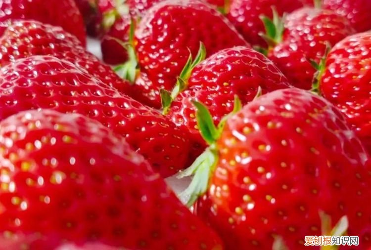 丹东旅游攻略,丹东旅游十大景点