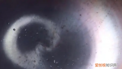 新锅怎么开锅，新锅怎样开锅不粘锅不生锈