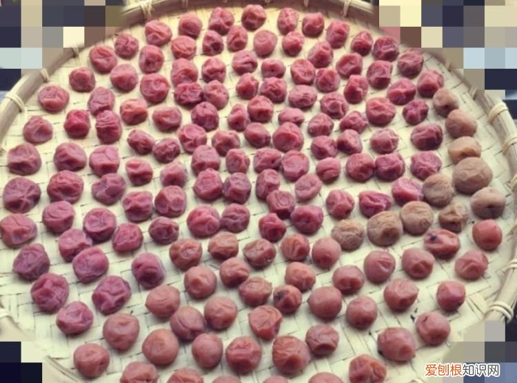 泡过酒青梅怎样晒话梅