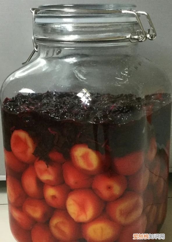 泡过酒青梅怎样晒话梅