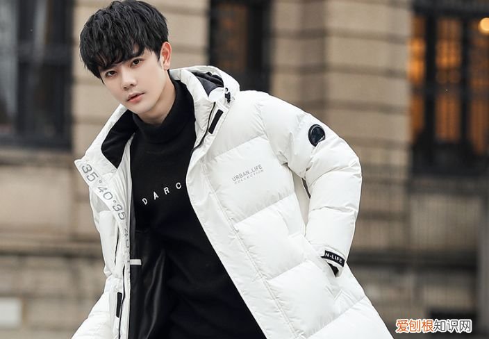 波司登和雅鹿羽绒服哪个好？