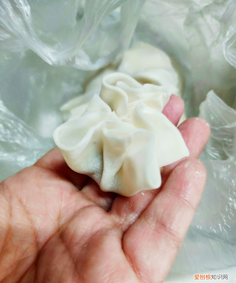 烧麦的褶子怎么捏