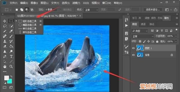 ps怎么复制选区，ps该怎样才能复制选区