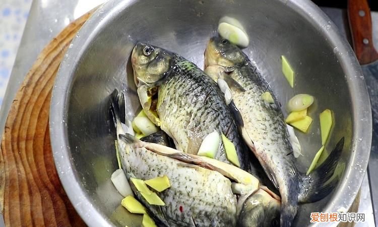 鲫鱼放盆里能活几天,从超市买的活鲫鱼放在家里能养多久啊