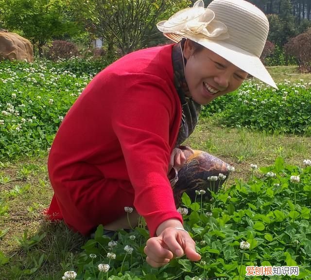 当你的御用摄影师 我是你的专属摄影师