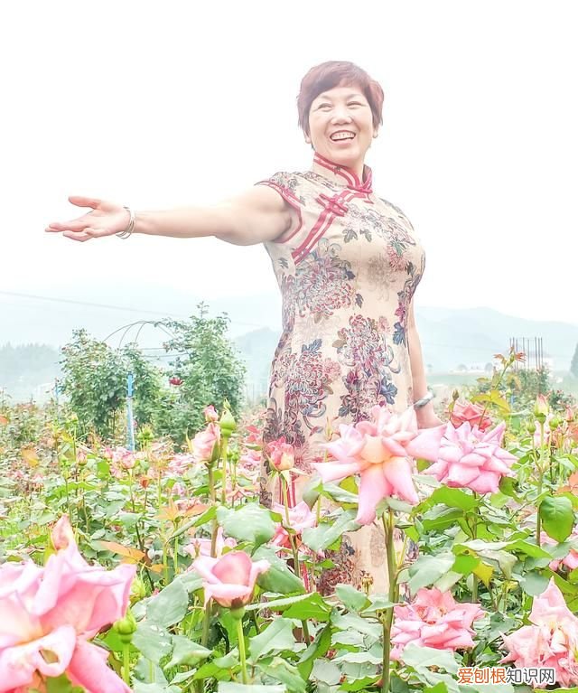 当你的御用摄影师 我是你的专属摄影师