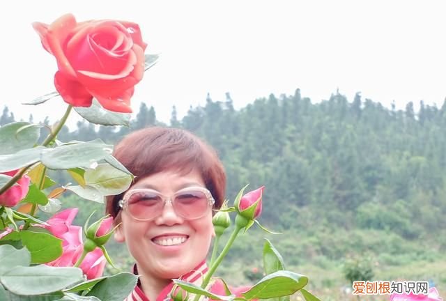 当你的御用摄影师 我是你的专属摄影师