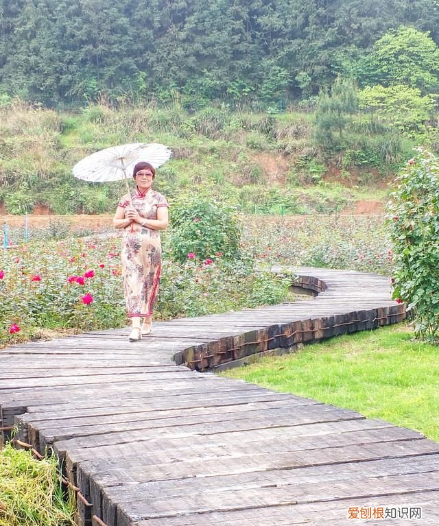 当你的御用摄影师 我是你的专属摄影师