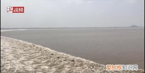 什么潮水连江平，什么什么潮水连江平海上明月共潮生