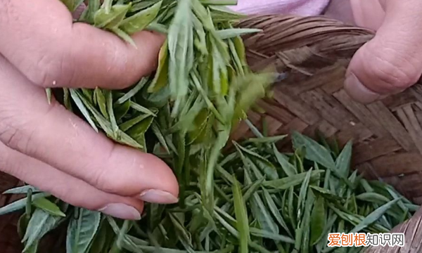 棉被有异味怎么去除，新棉花被子有难闻气味怎么办