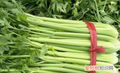 香芹和西芹的区别是什么，芹菜和西芹有什么区别功效