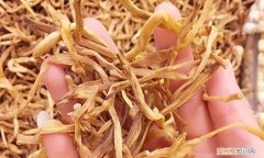 黄花菜为什么叫忘忧草，黄花菜为什么又称忘忧草呢