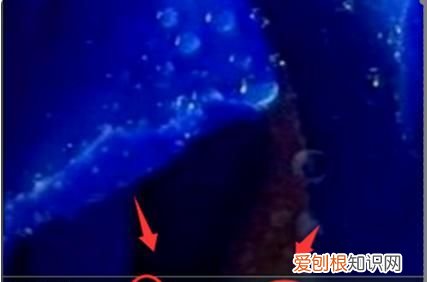 怎么把U盘里的东西复制电脑上